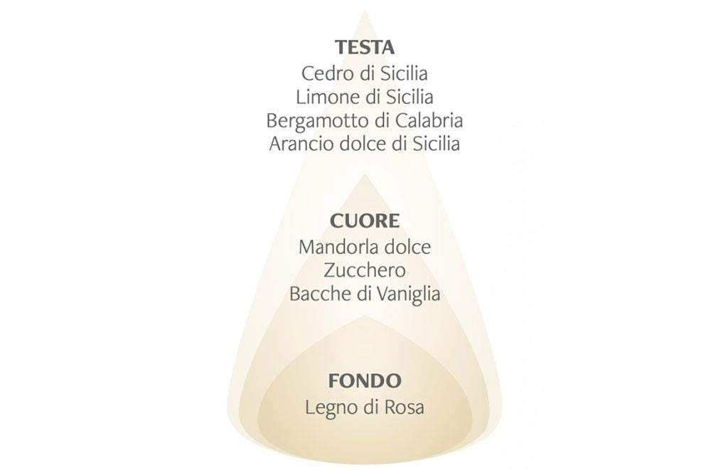 Diffusore a bastoncini Arancio Dolce & Mandorla