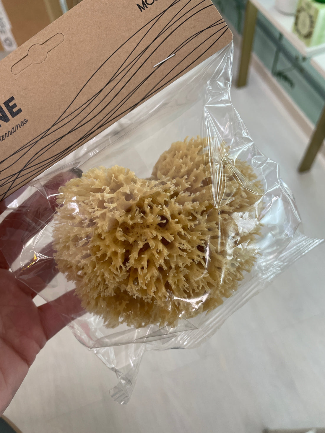 Spugna fine dama 10 cm