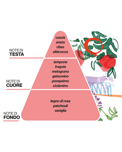 Diffusore La Terrazza dei Melograni