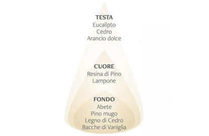 Candela profumata Abete bianco &amp; Vaniglia