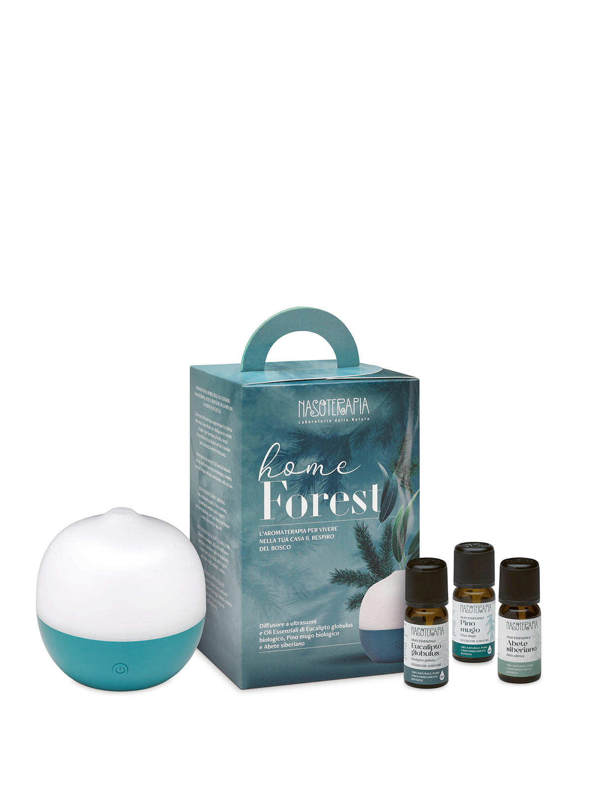 Home Forest