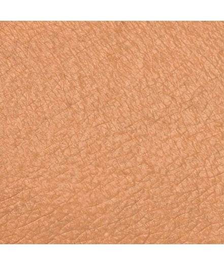 Ristretto Concealer Medium